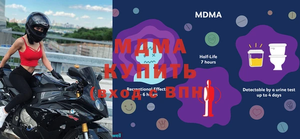гидра Горняк