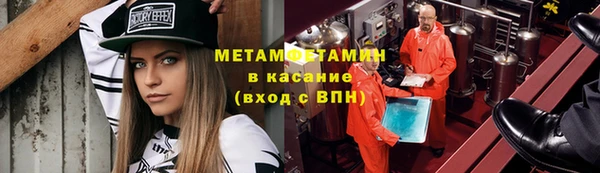 гидра Горняк