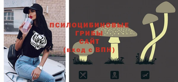 гидра Горняк
