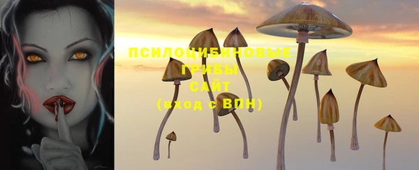 гидра Горняк