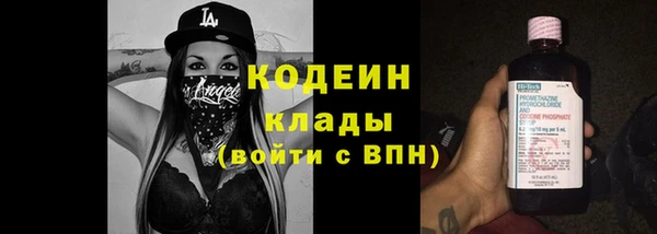 гидра Горняк