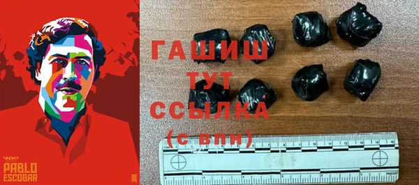 гидра Горняк