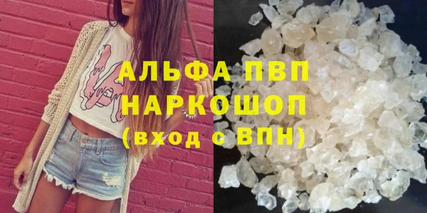 гидра Горняк