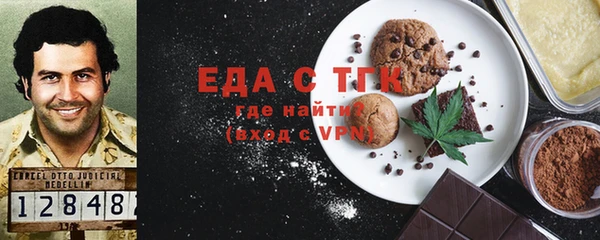 гидра Горняк