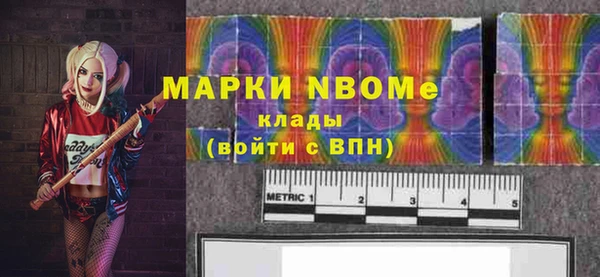 гидра Горняк