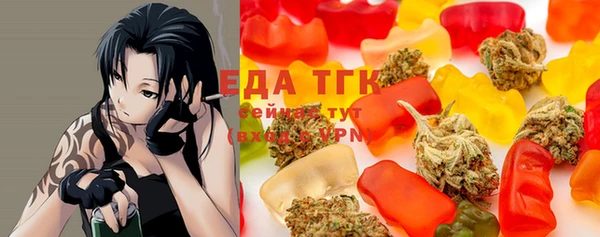 гидра Горняк