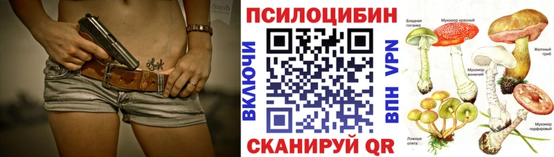 Псилоцибиновые грибы MAGIC MUSHROOMS  блэк спрут онион  Вилючинск 